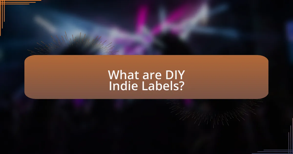 What are DIY Indie Labels?