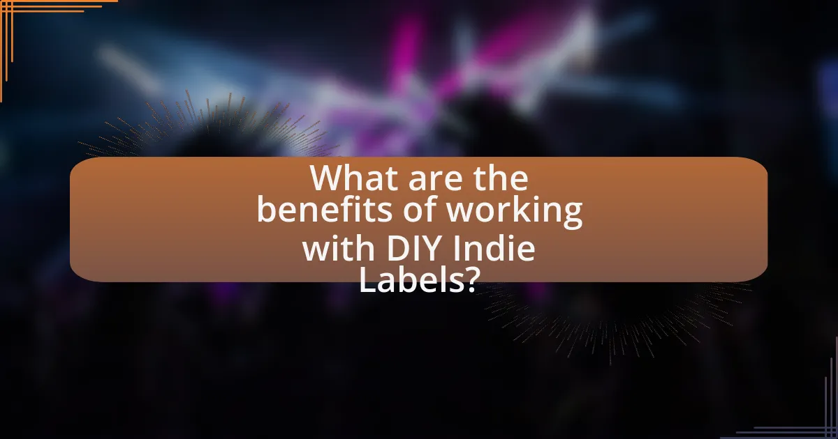 What are the benefits of working with DIY Indie Labels?