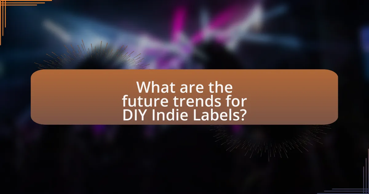 What are the future trends for DIY Indie Labels?