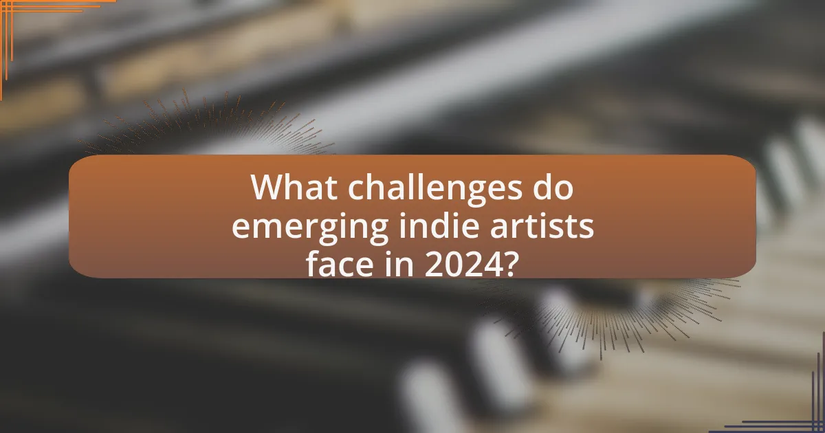What challenges do emerging indie artists face in 2024?