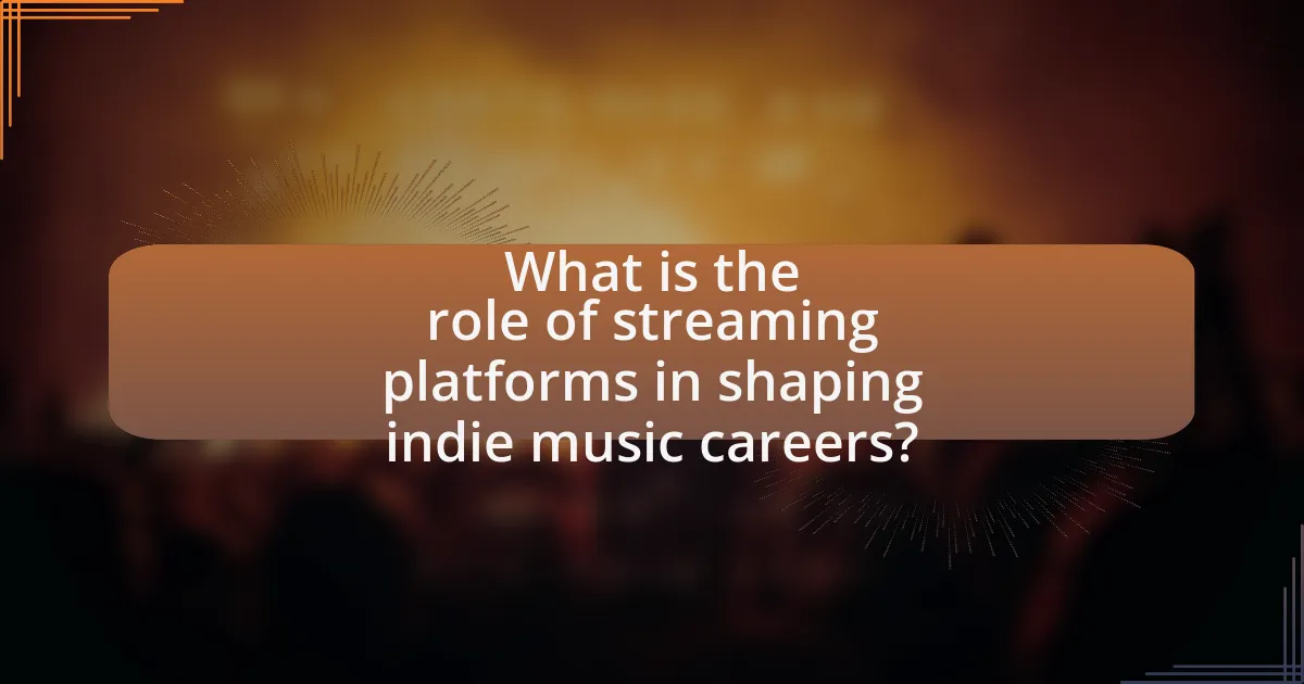 What is the role of streaming platforms in shaping indie music careers?